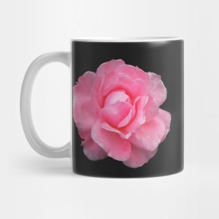 Raindrops Dew on Pink Rose Flower Mug